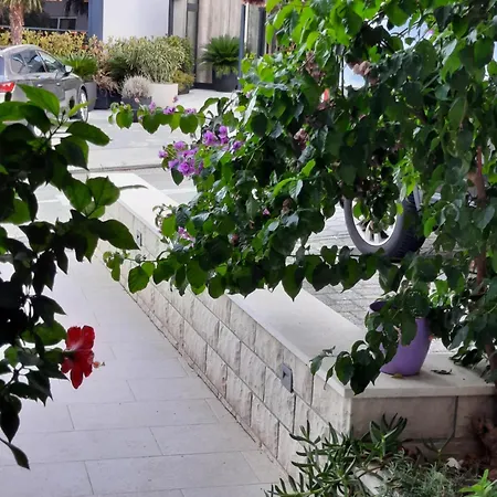 Sea Star Apartment Baska Voda